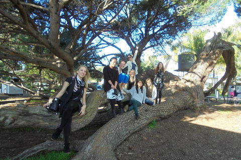 1/2 Day Swan Valley Wine Cheese & Chocolate Tour Inc Afternoon Cruise To Perth - Holiday Adelaide 0