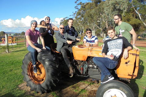 1/2 Day Swan Valley Wine Cheese & Chocolate Tour Inc Afternoon Cruise To Perth - Holiday Adelaide 1