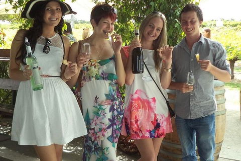 1/2 Day Swan Valley Wine Cheese & Chocolate Tour Inc Afternoon Cruise To Perth - Holiday Adelaide 4