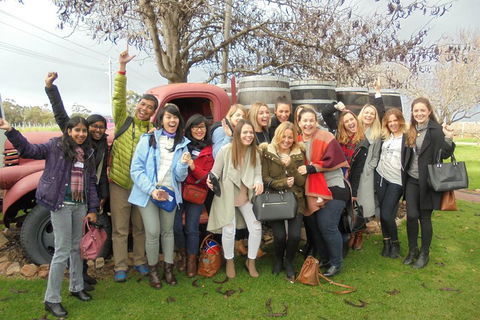 1/2 Day Swan Valley Wine Cheese & Chocolate Tour Inc Afternoon Cruise To Perth - Holiday Adelaide 5