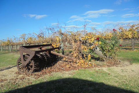 Swan Valley Tour From Perth: Wine, Beer And Chocolate Tastings - Holiday Adelaide 3