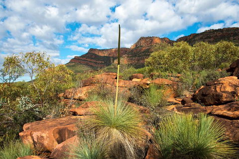6-Day Eyre Peninsula & Flinders Ranges Adventure Tour - Holiday Adelaide 1