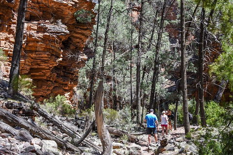 6-Day Eyre Peninsula & Flinders Ranges Adventure Tour - Holiday Adelaide 5