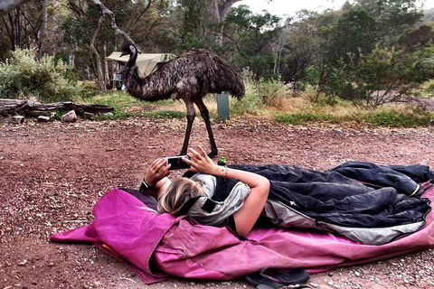 6 Day Esperance & Margaret River Adventure Tour - Holiday Adelaide 5