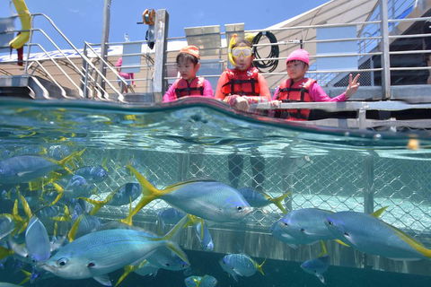 Outer Reef Pontoon Experience From Cairns - Holiday Adelaide 0