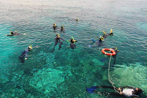 Seastar Luxury Outer Great Barrier Reef Island And Reef Tour From Cairns - Holiday Adelaide 2