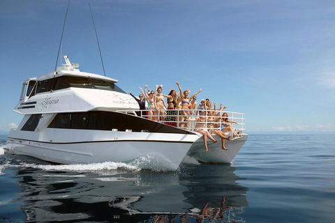 Seastar Luxury Outer Great Barrier Reef Island And Reef Tour From Cairns - Holiday Adelaide 4