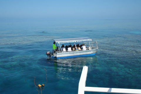 Seastar Luxury Outer Great Barrier Reef Island And Reef Tour From Cairns - Holiday Adelaide 5