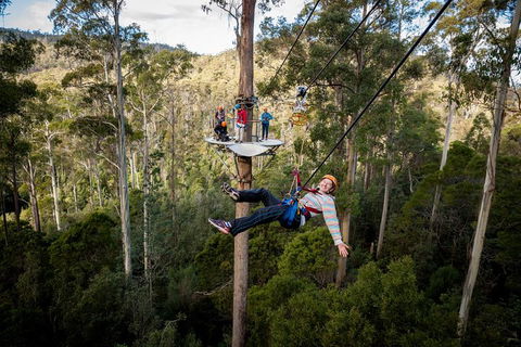 Hollybank Wilderness Adventure - Zipline Tours - Holiday Adelaide 0