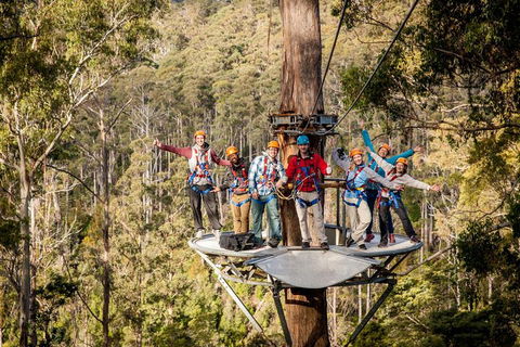 Hollybank Wilderness Adventure - Zipline Tours - Holiday Adelaide 1