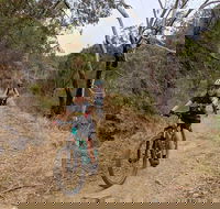Mount Lofty Descent Bike Tour from Adelaide - Holiday Adelaide