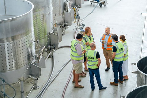 Josef Chromy Wines Winery Tour Including Tasting And Lunch - Holiday Adelaide 0