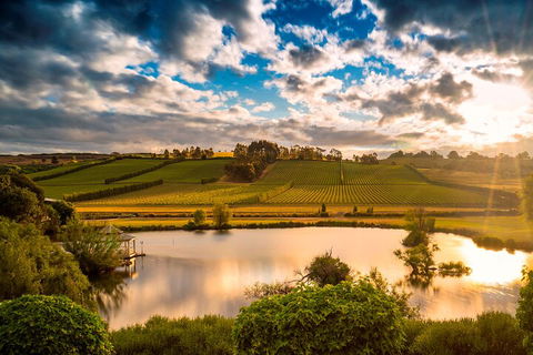 Josef Chromy Wines Winery Tour Including Tasting And Lunch - Holiday Adelaide 3