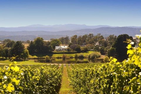 Josef Chromy Wines Winery Tour Including Tasting And Lunch - Holiday Adelaide 4