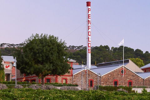 Ultimate Penfolds Magill Estate Experience - Holiday Adelaide 3