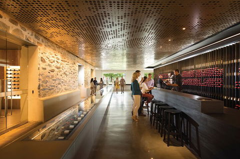 Ultimate Penfolds Magill Estate Experience - Holiday Adelaide 5