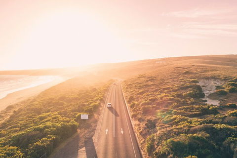 Great Ocean Road & Grampians National Park Tour - 3 Days, 2 Nights - Holiday Adelaide 1
