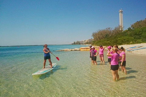 Golden Beach 1-Hour Stand-Up Paddleboard Hire On The Sunshine Coast - Holiday Adelaide 1