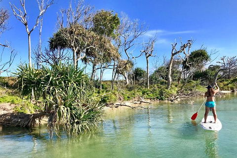 Golden Beach 1-Hour Stand-Up Paddleboard Hire On The Sunshine Coast - Holiday Adelaide 5