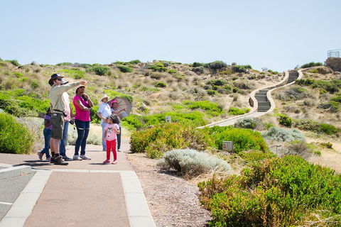 Margaret River Coastal And Wildlife Eco Trip From Busselton Or Dunsborough - Holiday Adelaide 0