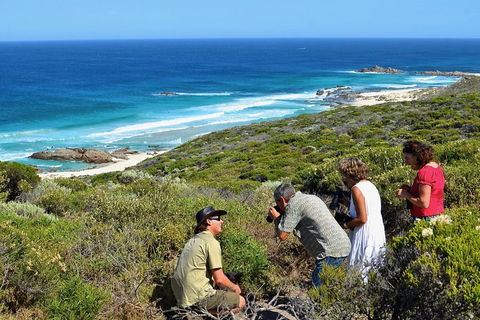 Margaret River Coastal And Wildlife Eco Trip From Busselton Or Dunsborough - Holiday Adelaide 2