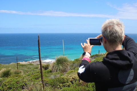 Margaret River Coastal And Wildlife Eco Trip From Busselton Or Dunsborough - Holiday Adelaide 3