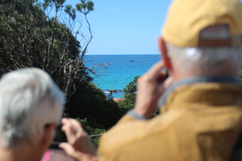 Margaret River Coastal And Wildlife Eco Trip From Busselton Or Dunsborough - Holiday Adelaide 5
